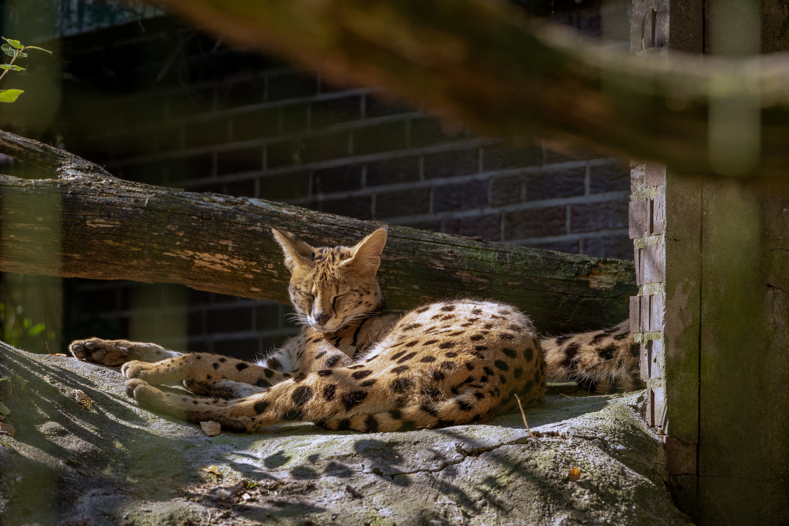 Ein Tag im Tier und Freizeitpark Thüle