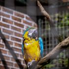 Ein Tag im Tier und Freizeitpark Thüle