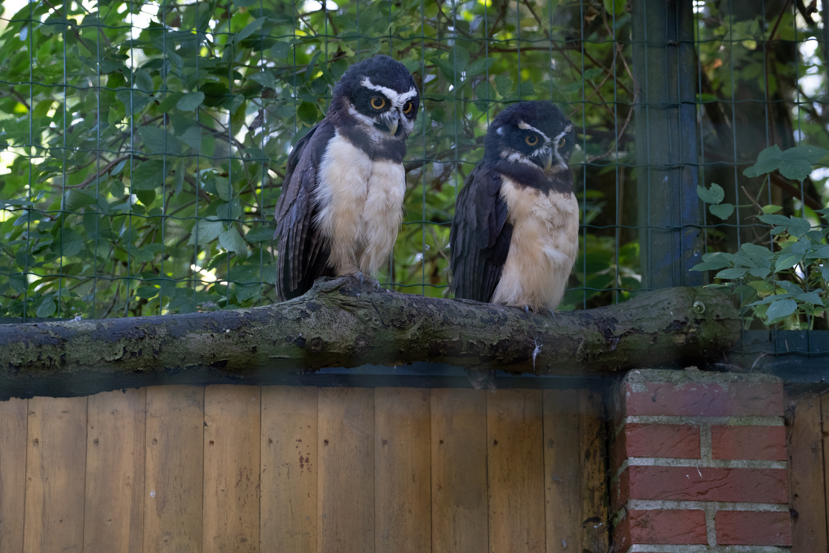 Ein Tag im Tier und Freizeitpark Thüle