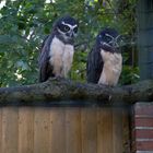 Ein Tag im Tier und Freizeitpark Thüle