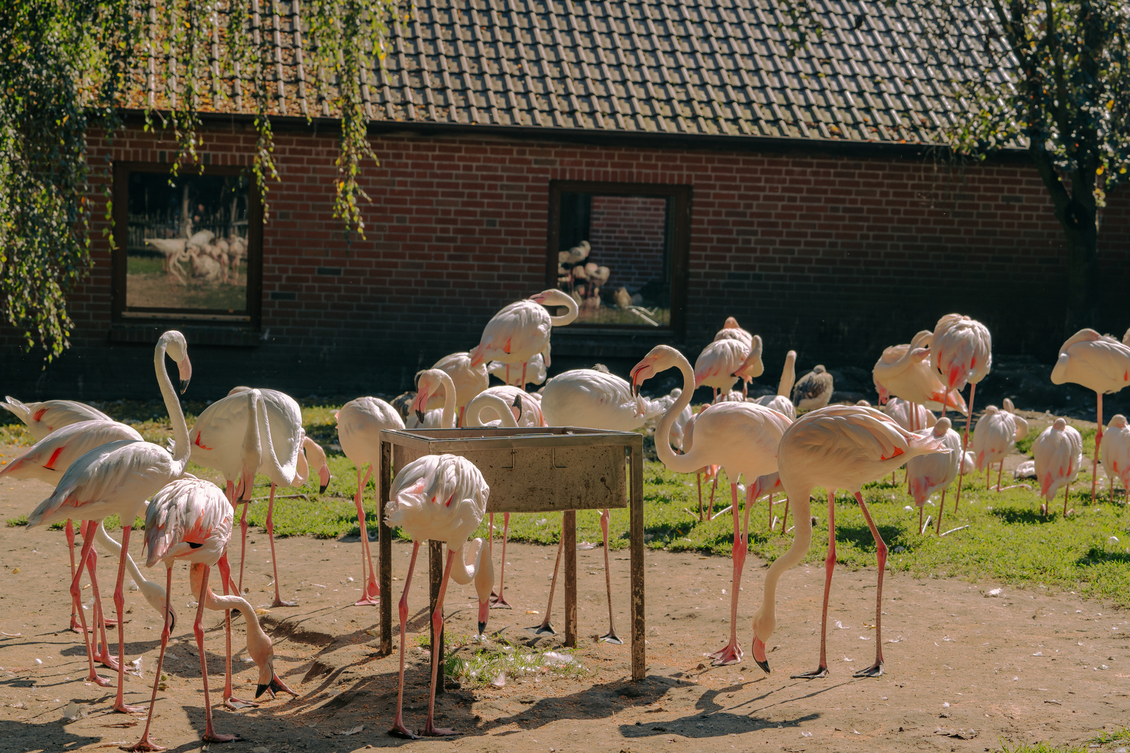 Ein Tag im Tier und Freizeitpark Thüle