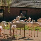 Ein Tag im Tier und Freizeitpark Thüle