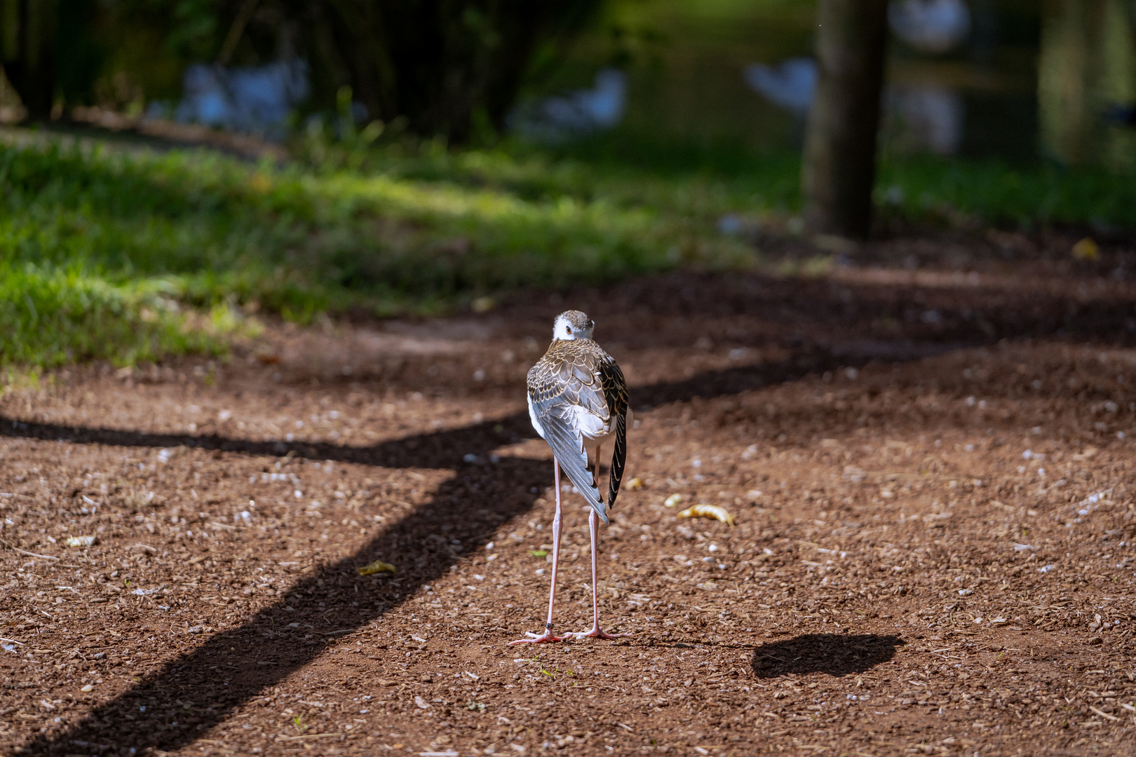 Ein Tag im Tier und Freizeitpark Thüle