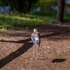 Ein Tag im Tier und Freizeitpark Thüle