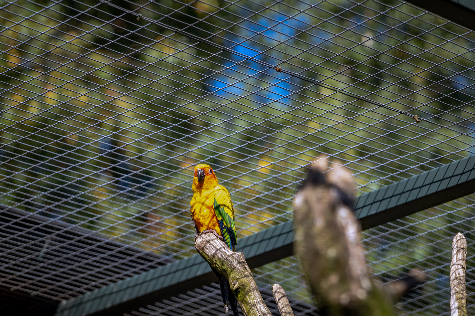 Ein Tag im Tier und Freizeitpark Thüle