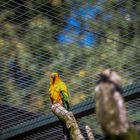 Ein Tag im Tier und Freizeitpark Thüle