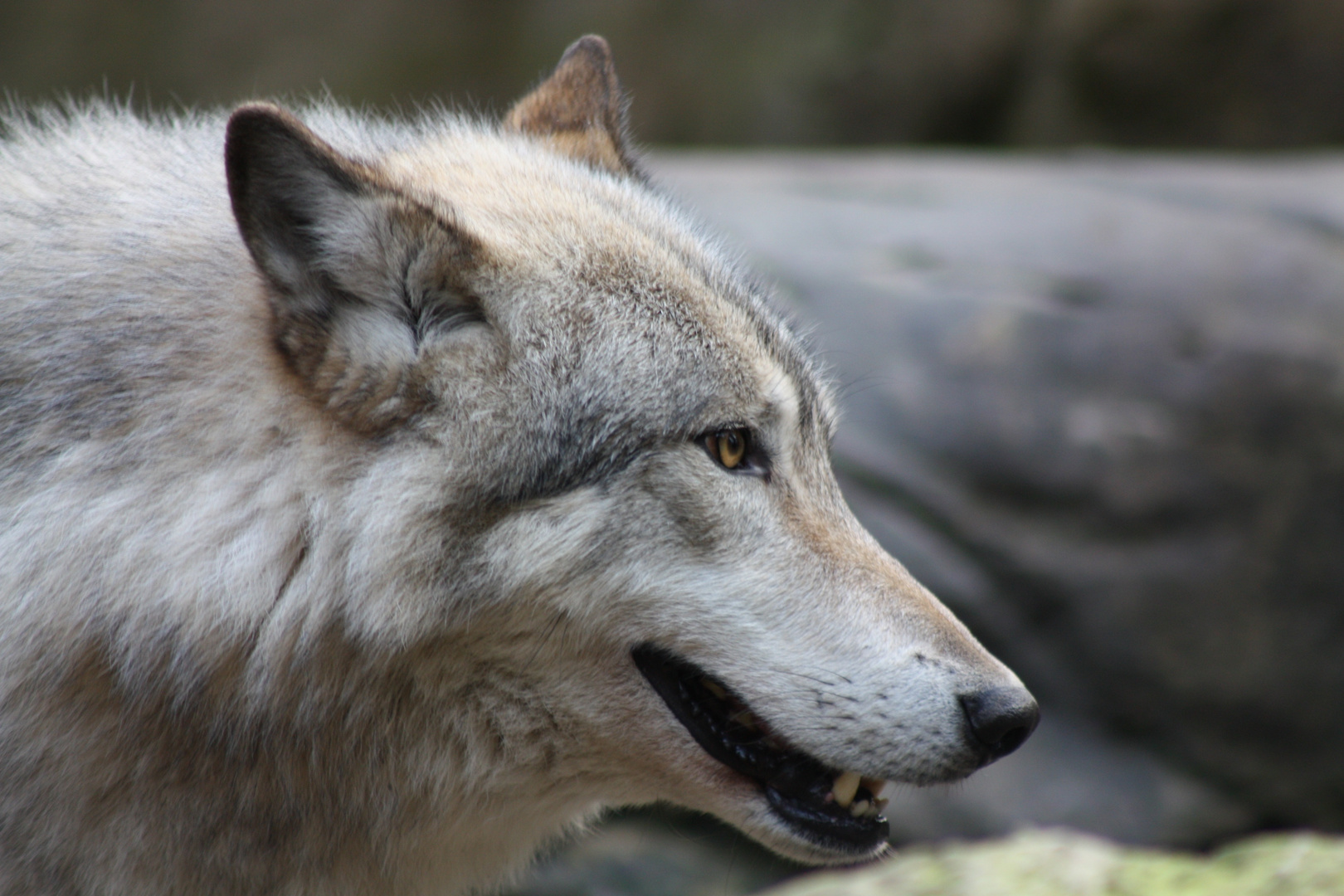 Ein Tag im Tierpark