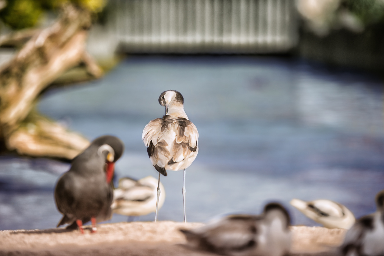 Ein Tag im Tierpark