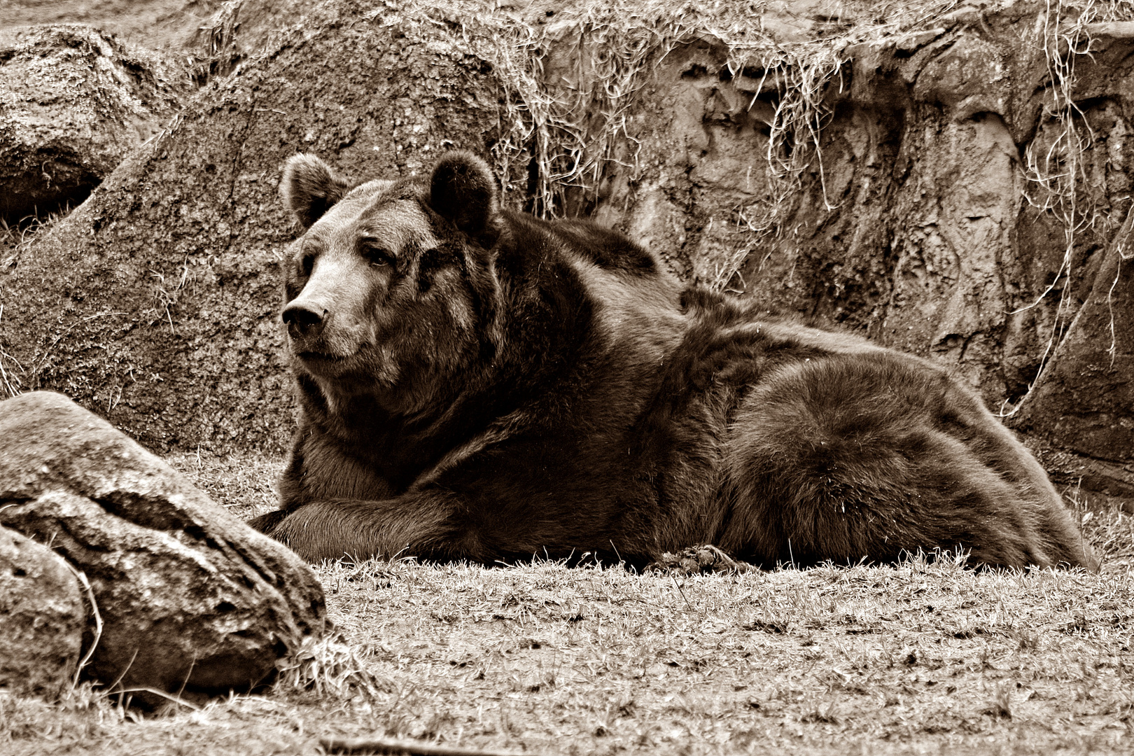 Ein Tag im Tierpark