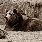 Ein Tag im Tierpark