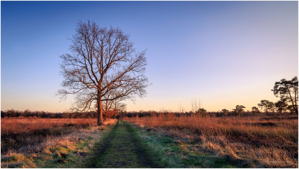 Ein Tag im Venner Moor km Osnabrücker Land 