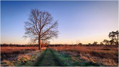 Ein Tag im Venner Moor km Osnabrücker Land 