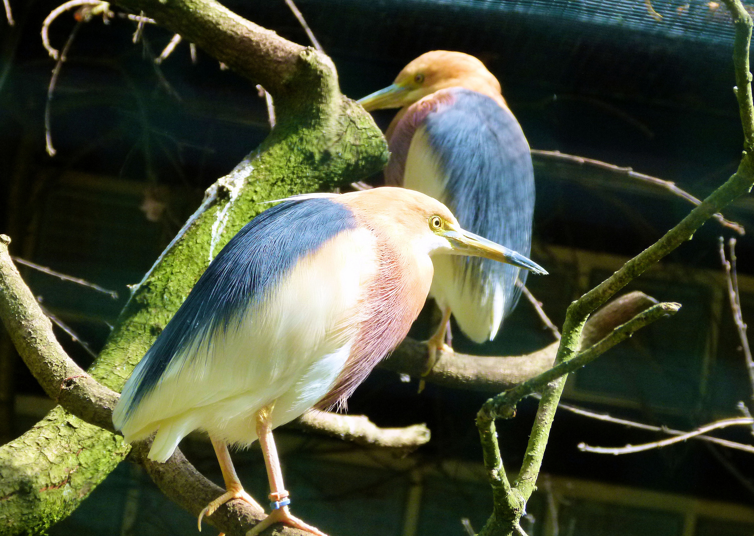 ein Tag im Vogelpark Walsrode