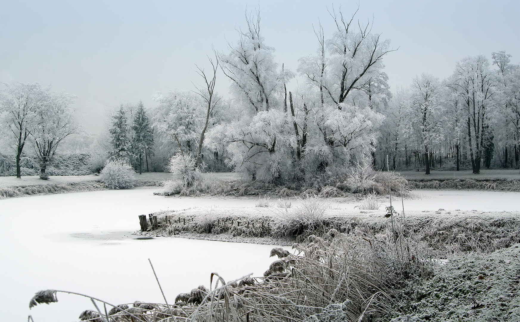 Ein Tag im Winter