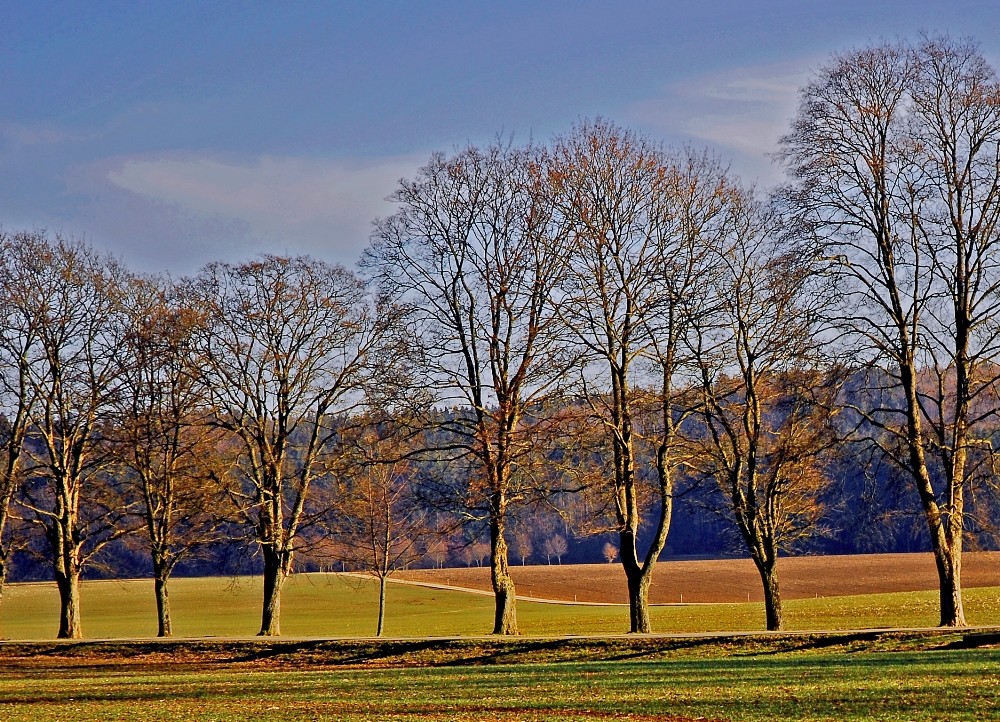 Ein Tag im Winter ..... A Winter Day