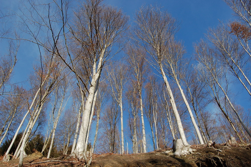 Ein Tag im Winter