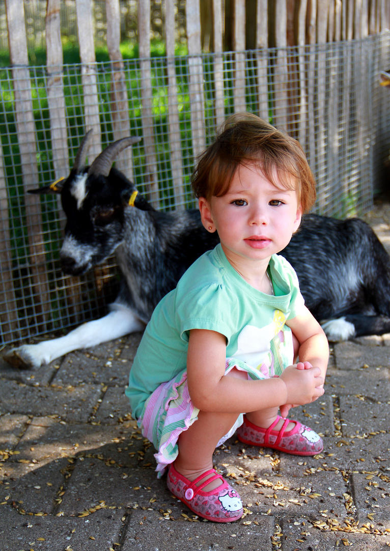 Ein Tag im Zoo