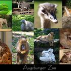 Ein Tag im Zoo