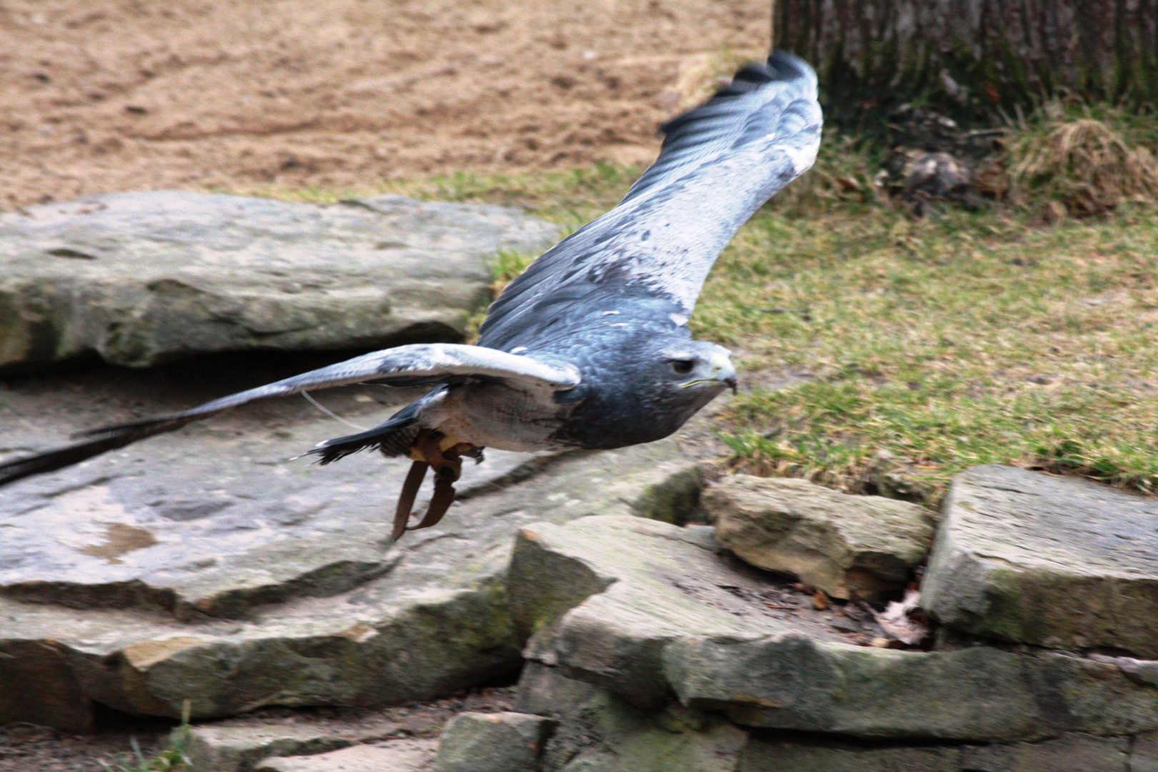 Ein Tag im Zoo Hannover