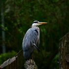 ein Tag im Zoo Krefeld bei mäßigem Wetter