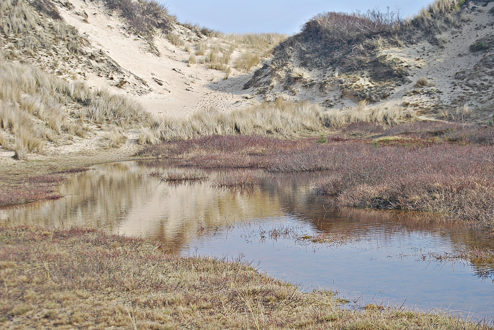 ein Tag in den Dünen... 2