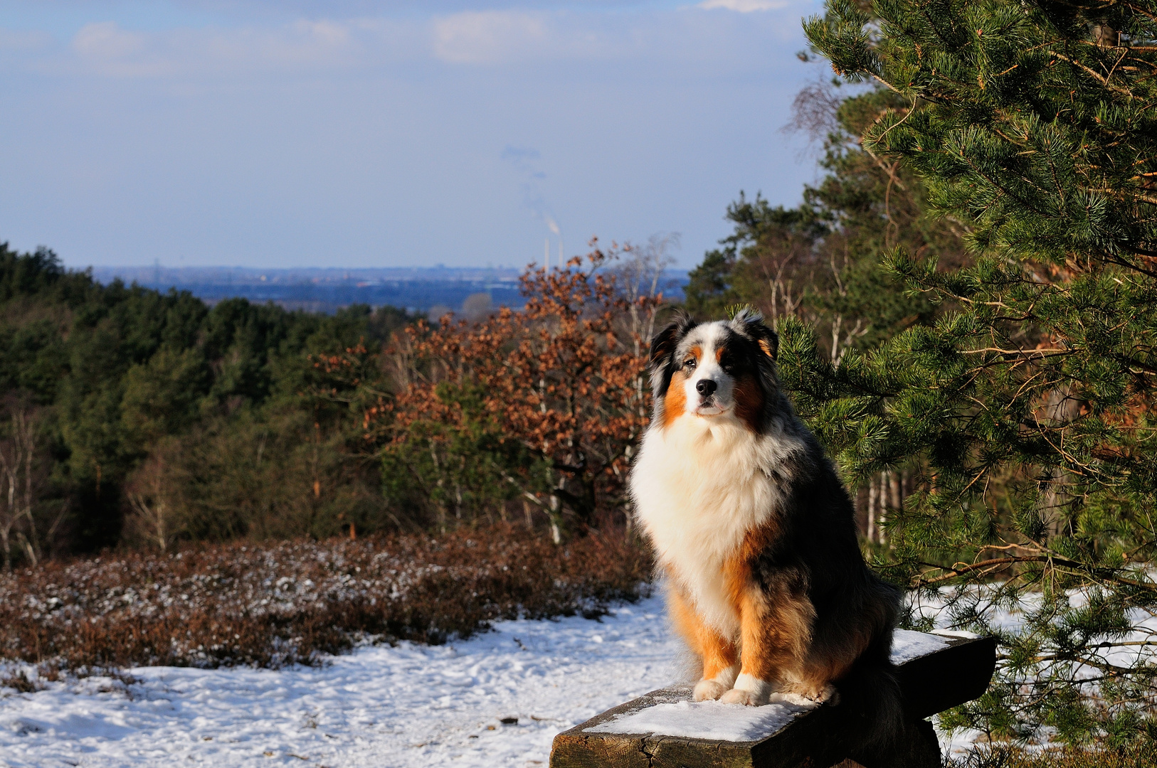 Ein Tag in der Fischbeker Heide mit Weitblick