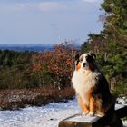 Ein Tag in der Fischbeker Heide mit Weitblick