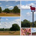 Ein Tag in der Lüneburger Heide