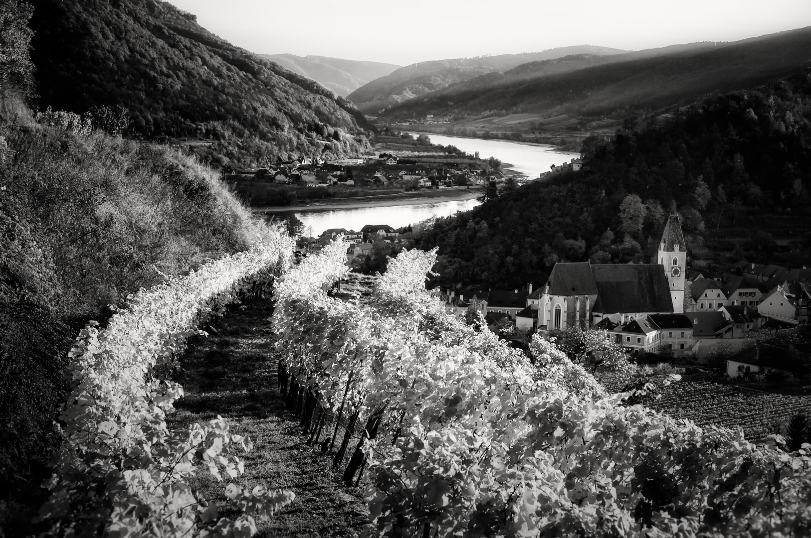 Ein Tag in der Wachau