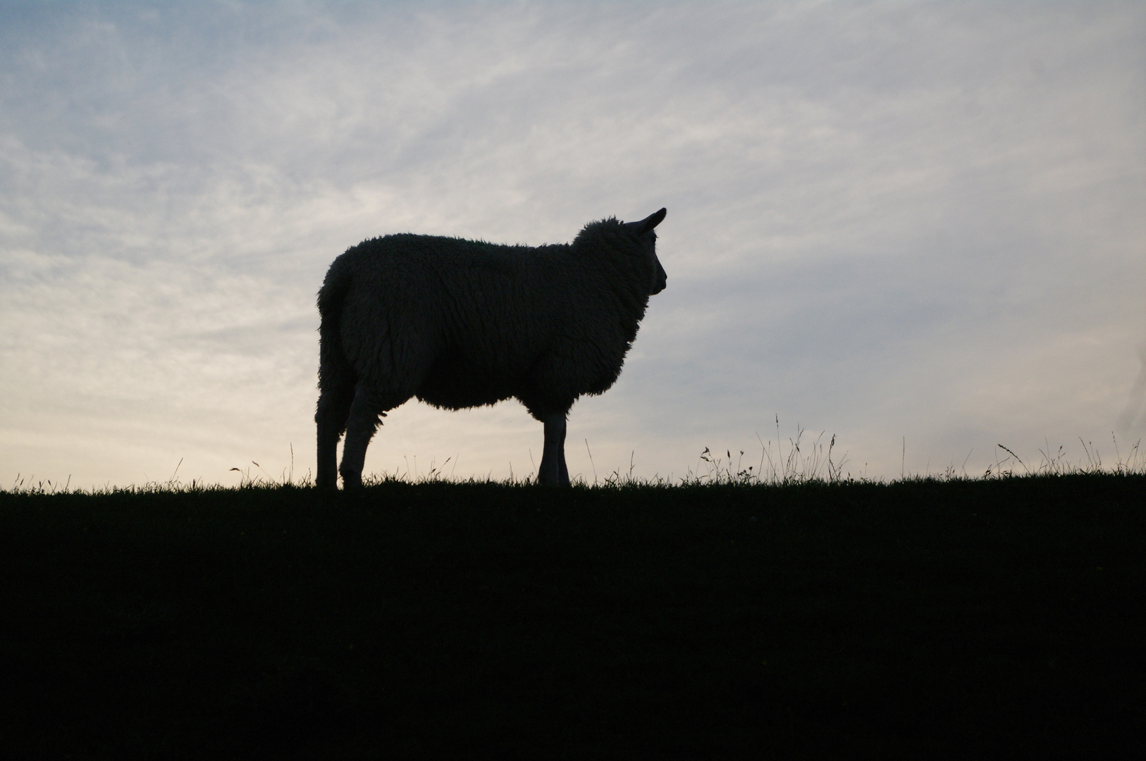 Ein Tag in Nordfriesland geht zu ende.