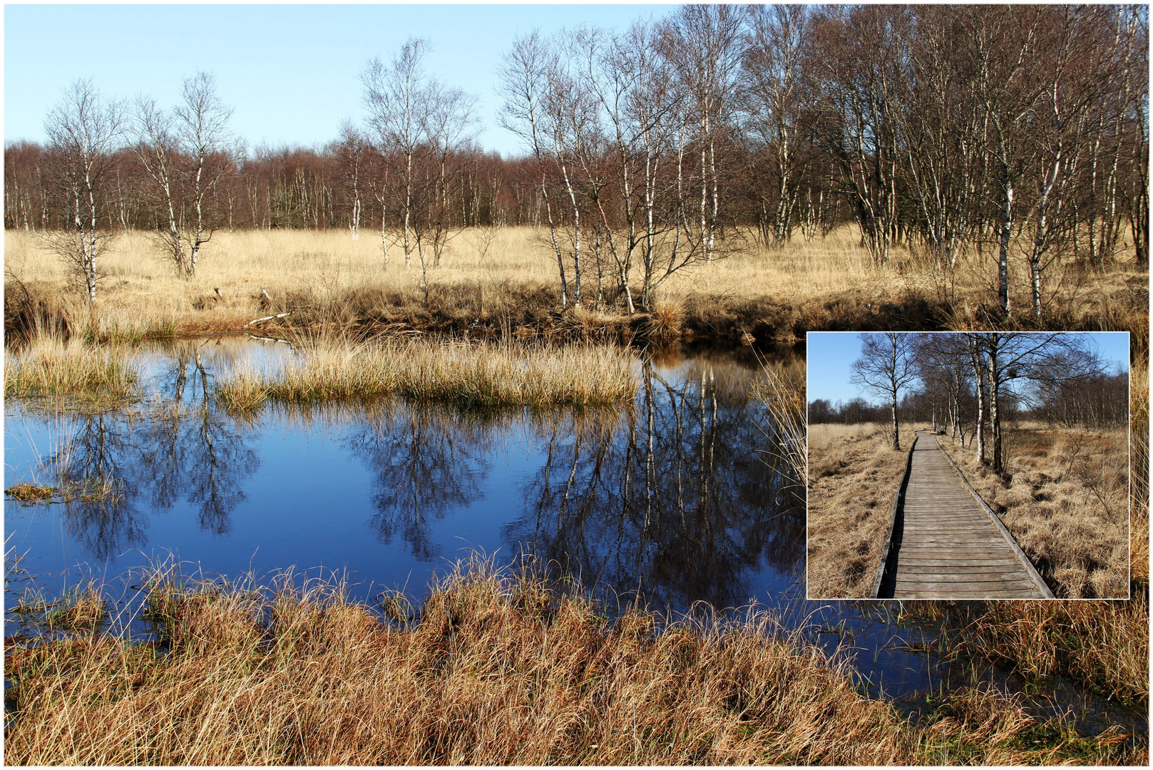 ein Tag in Ostfriesland ... der Weg durch das Moor