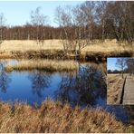 ein Tag in Ostfriesland ... der Weg durch das Moor