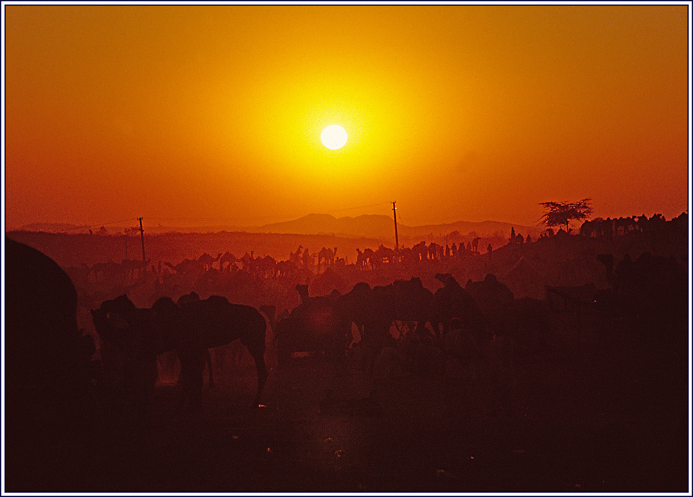 Ein Tag in Pushkar geht zu Ende....