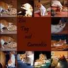 Ein Tag mit Carmelito