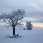 Ein Tag vor dem Tauwetter