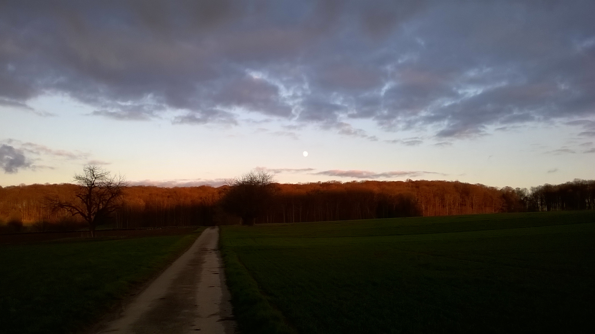 Ein Tag vor Vollmond