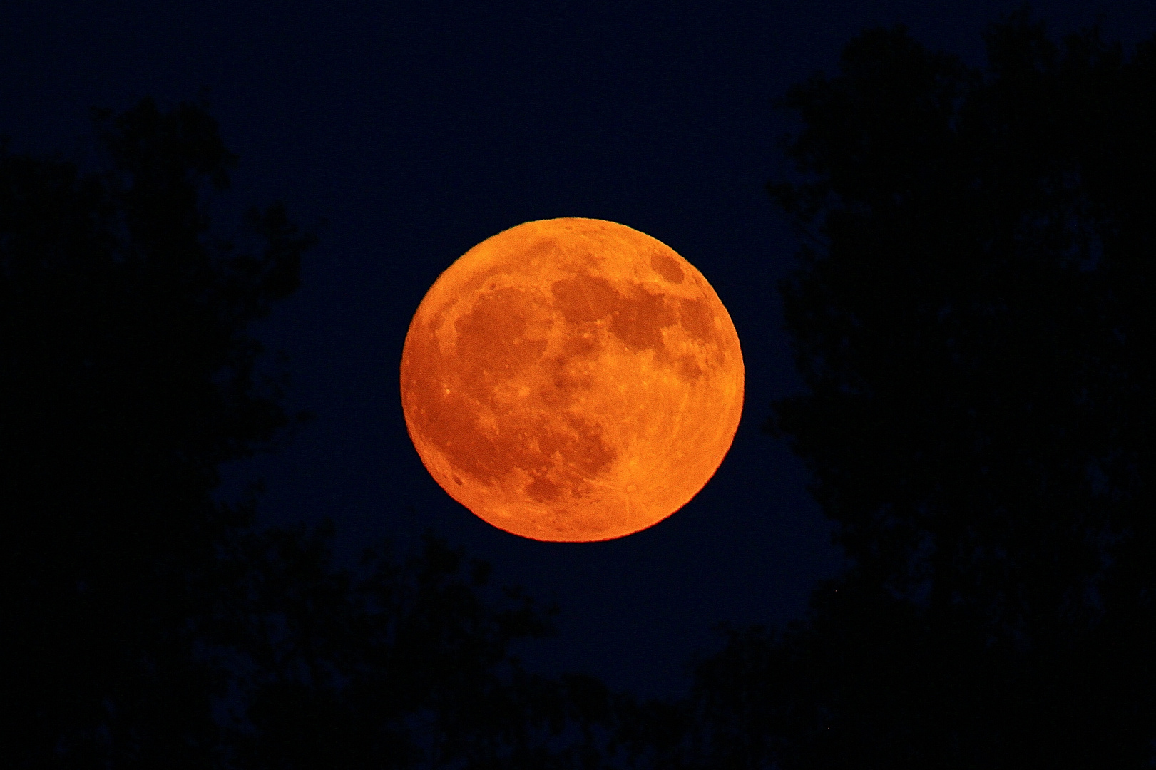 ein Tag vor Vollmond - Mondaufgang