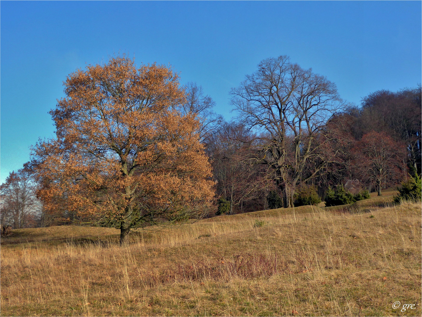 Ein Tag wie im Herbst