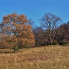 Ein Tag wie im Herbst