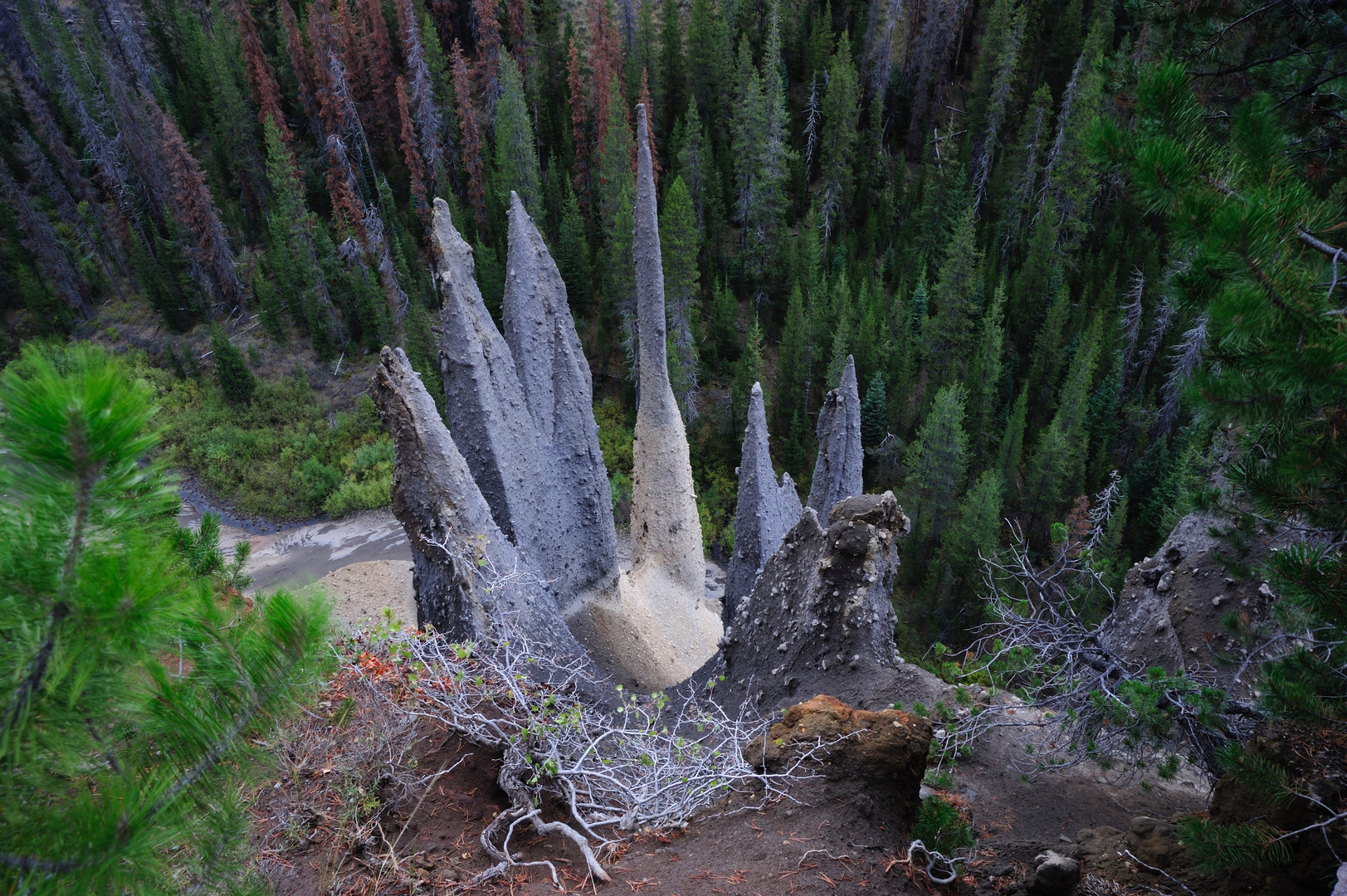 Ein Tal voller Spitzen, Pinnacles Sand Creek Gorge, Oregon