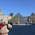 Ein Teddybär in Paris oder Die Vorhut