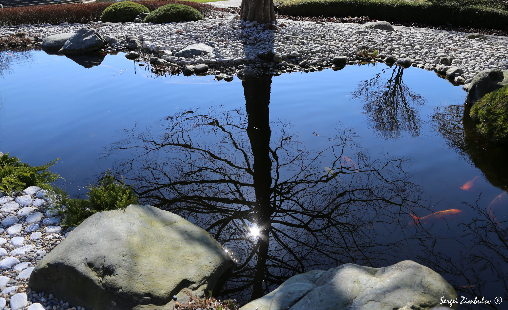 Ein Teich 001. Foto & Bild landschaft, garten & parklandschaften