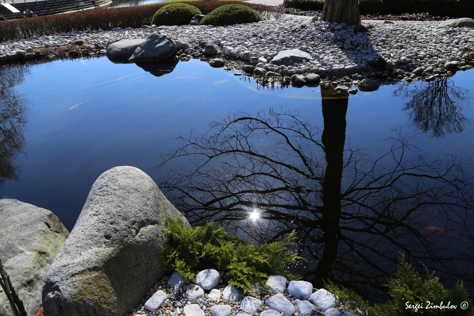 Ein Teich Foto & Bild landschaft, garten & parklandschaften, natur