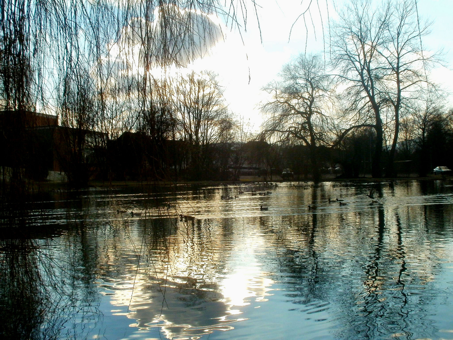 Ein Teich bei Gimnaziumm