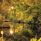 Ein Teich bei Nacht (HDR)