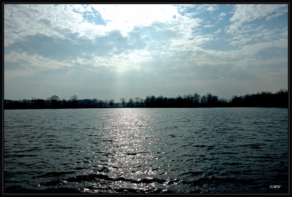 Ein Teich bei strahlendem Sonnenschein...