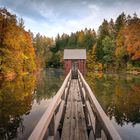 Ein Teich im Harz 