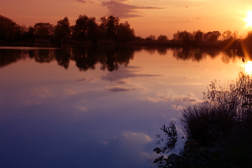 Ein Teich in der Nähe