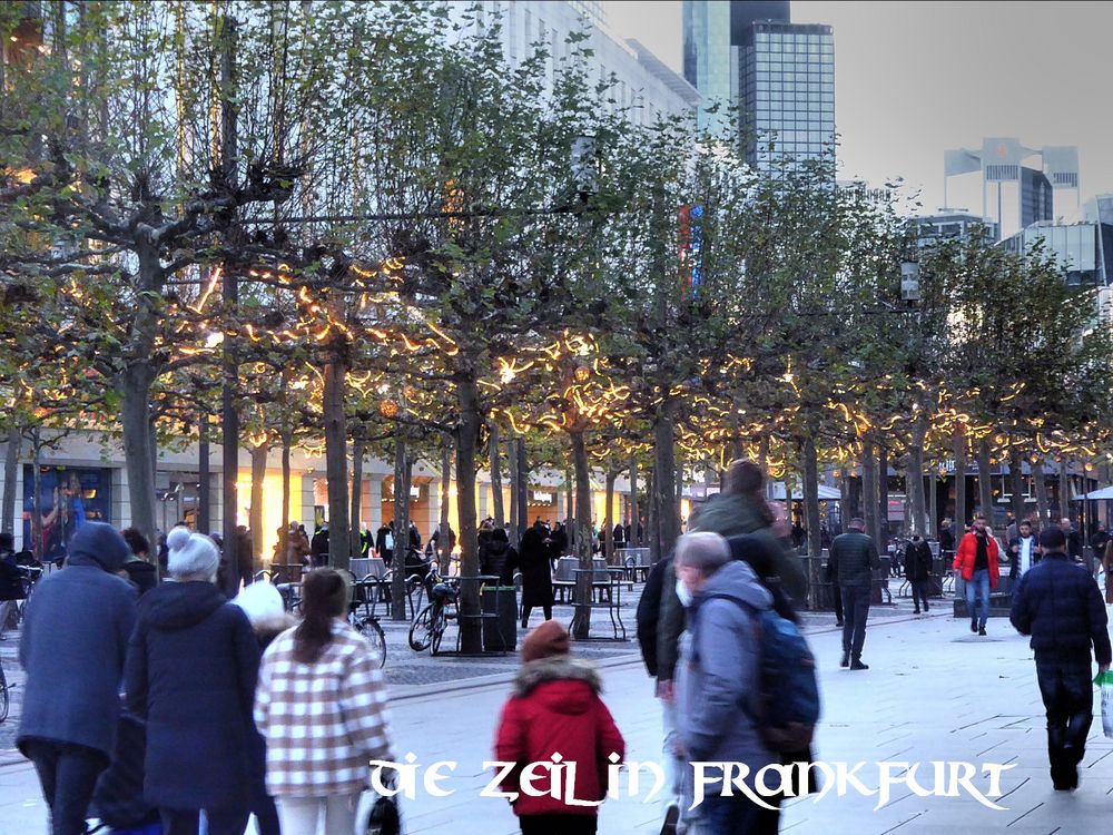 Ein Teil der beleuchteten ZEIL in Ffm. mit Licht in Bäumen