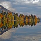 Ein Teil der Halbinsel Zwergern im Spiegel des Walchensees